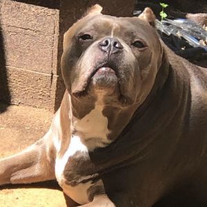 Meet your Posher, Paula